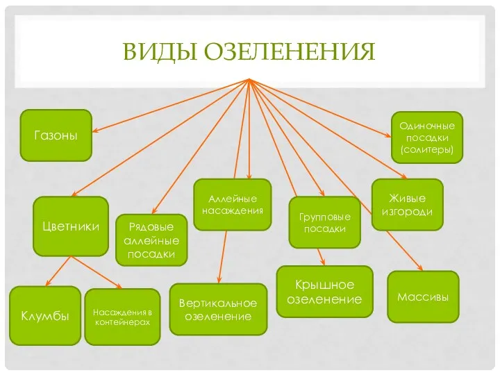 ВИДЫ ОЗЕЛЕНЕНИЯ Клумбы Газоны Рядовые аллейные посадки Аллейные насаждения Живые