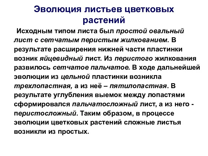 Эволюция листьев цветковых растений Исходным типом листа был простой овальный