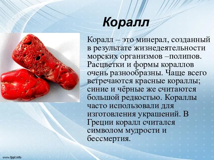 Коралл Коралл – это минерал, созданный в результате жизнедеятельности морских