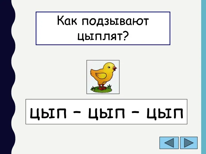 Как подзывают цыплят? цып – цып – цып