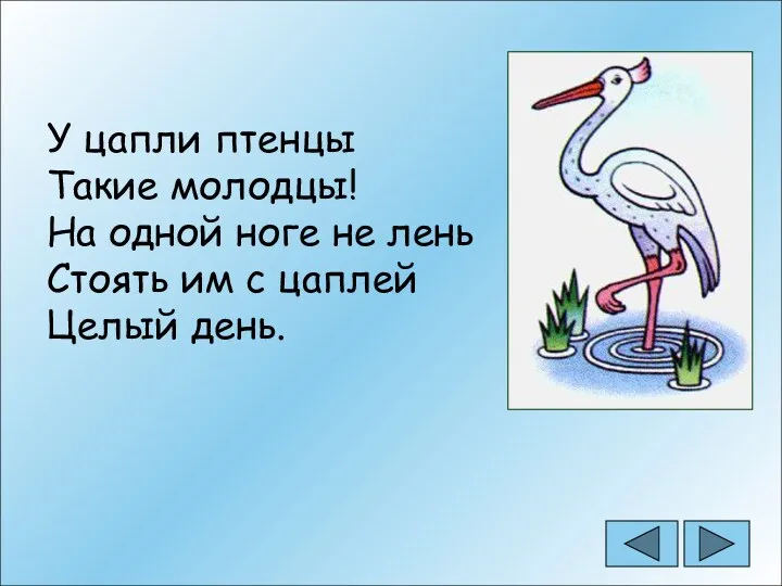 У цапли птенцы Такие молодцы! На одной ноге не лень Стоять им с цаплей Целый день.