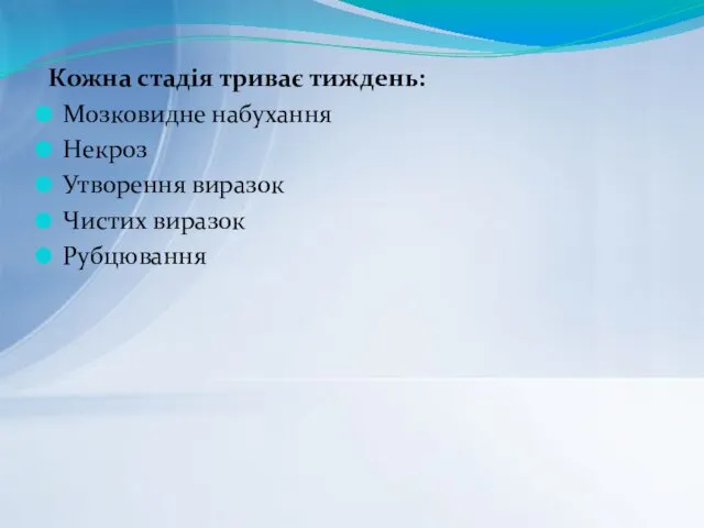 Кожна стадія триває тиждень: Мозковидне набухання Некроз Утворення виразок Чистих виразок Рубцювання