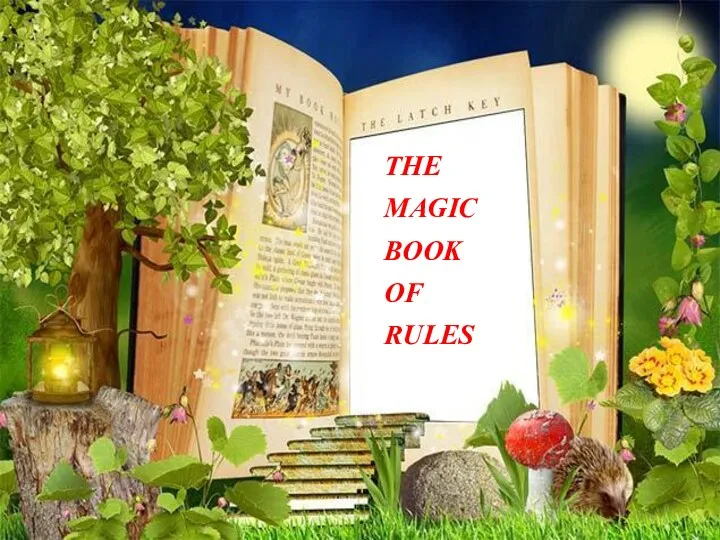 THE MAGIC BOOK OF RULES