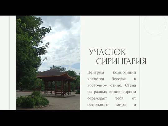 Центром композиции является беседка в восточном стиле. Стена из разных видов сирени ограждает