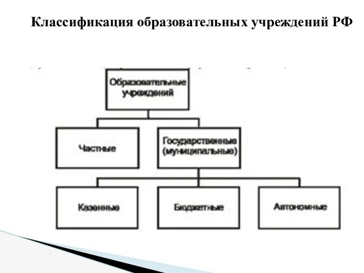 Классификация образовательных учреждений РФ