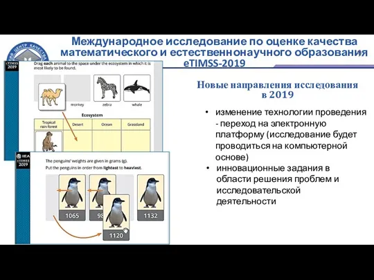 Международное исследование по оценке качества математического и естественнонаучного образования eTIMSS-2019