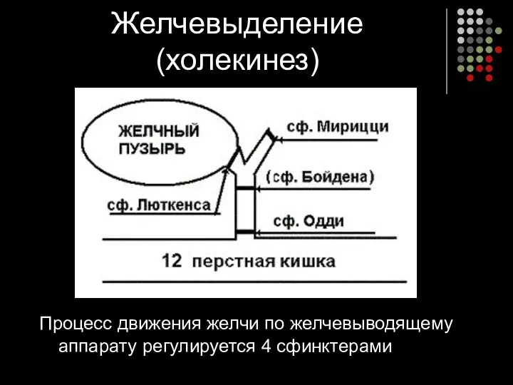 Желчевыделение (холекинез) Процесс движения желчи по желчевыводящему аппарату регулируется 4 сфинктерами