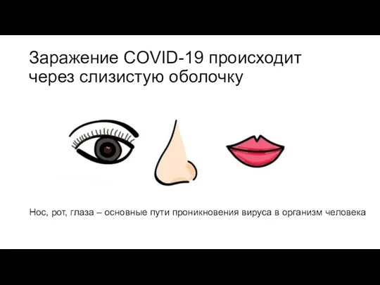 Заражение COVID-19 происходит через слизистую оболочку Нос, рот, глаза –