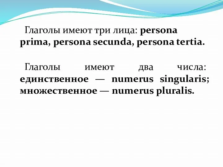 Глаголы имеют три лица: persona prima, persona secunda, persona tertia. Глаголы имеют два