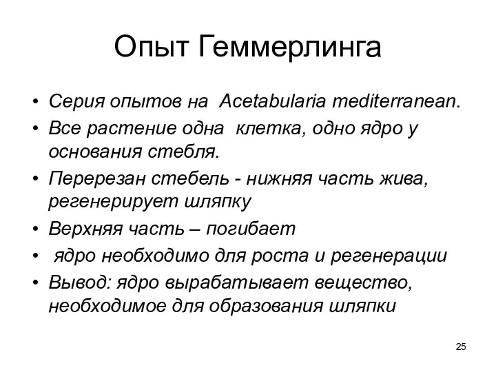 Опыт Геммерлинга Серия опытов на Acetabularia mediterranean. Все растение одна