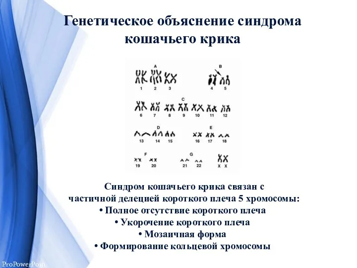 Генетическое объяснение синдрома кошачьего крика Синдром кошачьего крика связан с