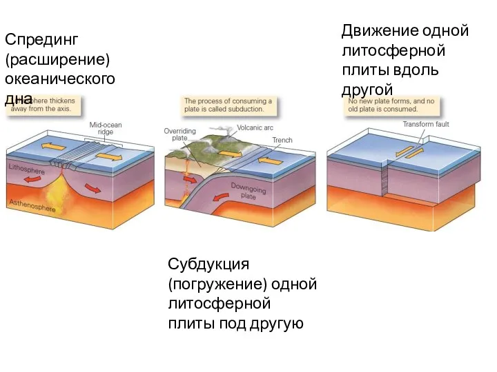 Спрединг (расширение) океанического дна Субдукция (погружение) одной литосферной плиты под