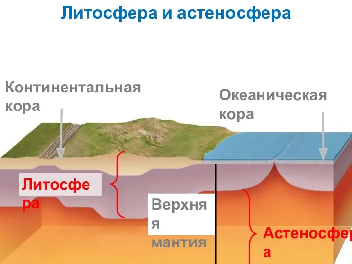 Литосфера и астеносфера Литосфера Астеносфера Континентальная кора Океаническая кора Верхняя мантия