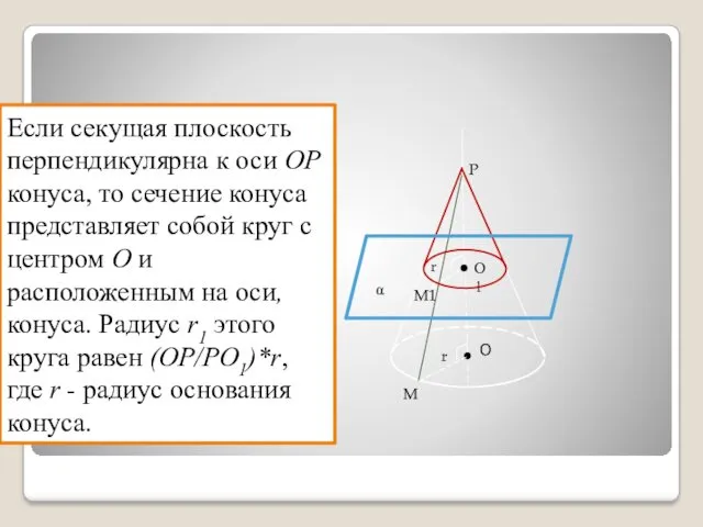 O P M О1 r r1 M1 α Если секущая плоскость перпендикулярна к