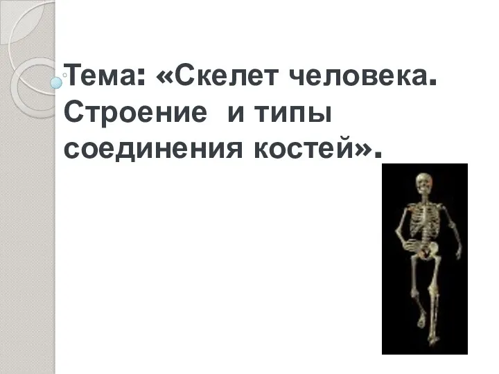 Тема: «Скелет человека. Строение и типы соединения костей».