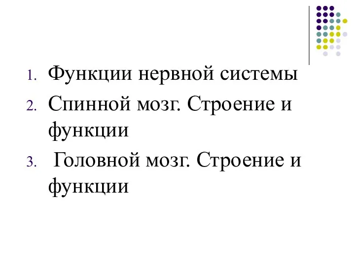 Функции нервной системы Спинной мозг. Строение и функции Головной мозг. Строение и функции