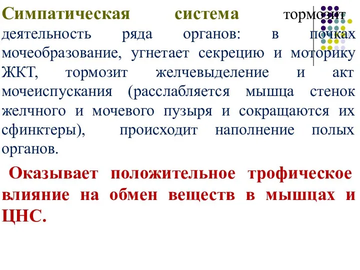 Симпатическая система тормозит деятельность ряда органов: в почках мочеобразование, угнетает