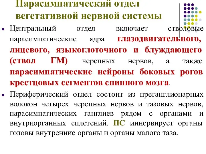 Парасимпатический отдел вегетативной нервной системы Центральный отдел включает стволовые парасимпатические