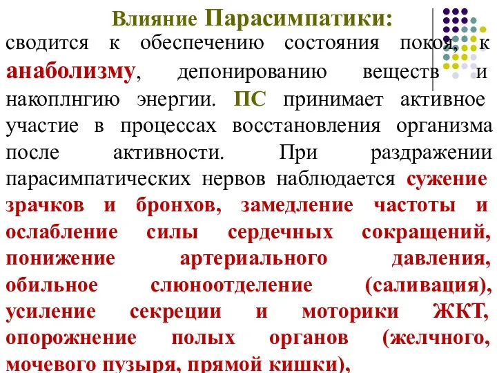 Влияние Парасимпатики: сводится к обеспечению состояния покоя, к анаболизму, депонированию