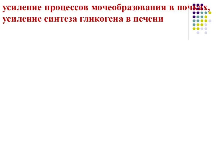 усиление процессов мочеобразования в почках, усиление синтеза гликогена в печени