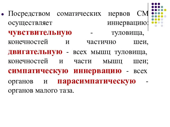 Посредством соматических нервов СМ осуществляет иннервацию: чувствительную - туловища, конечностей