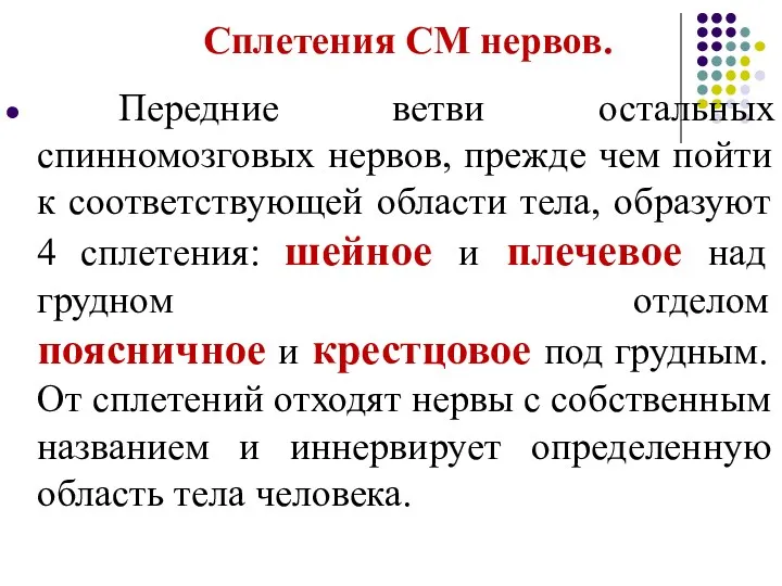 Сплетения СМ нервов. Передние ветви остальных спинномозговых нервов, прежде чем