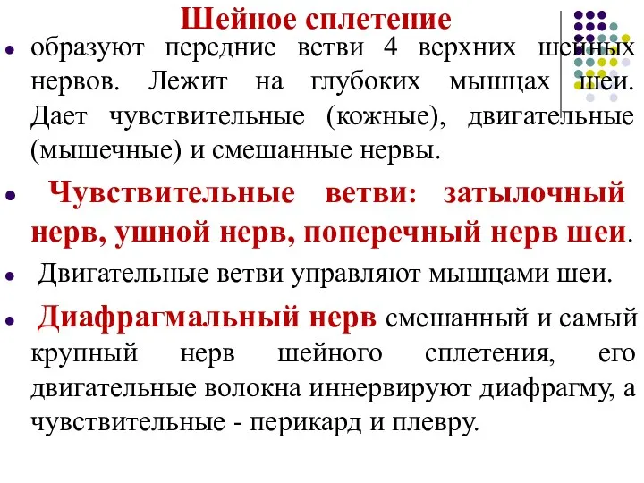 Шейное сплетение образуют передние ветви 4 верхних шейных нервов. Лежит