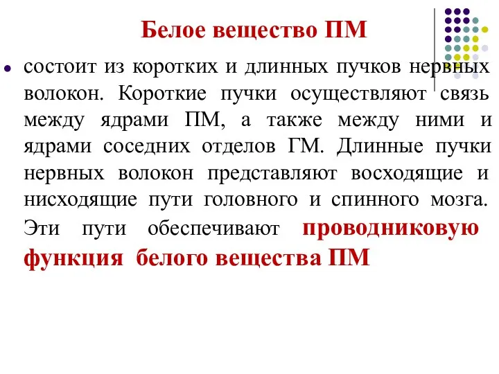 Белое вещество ПМ состоит из коротких и длинных пучков нервных