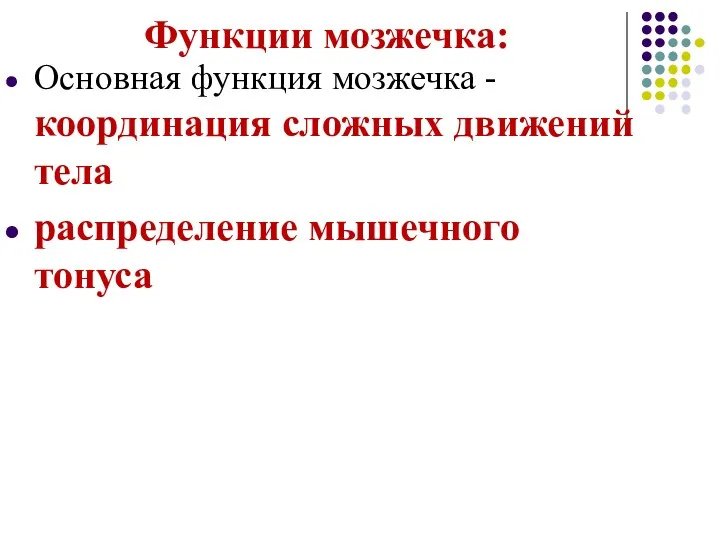 Функции мозжечка: Основная функция мозжечка - координация сложных движений тела распределение мышечного тонуса