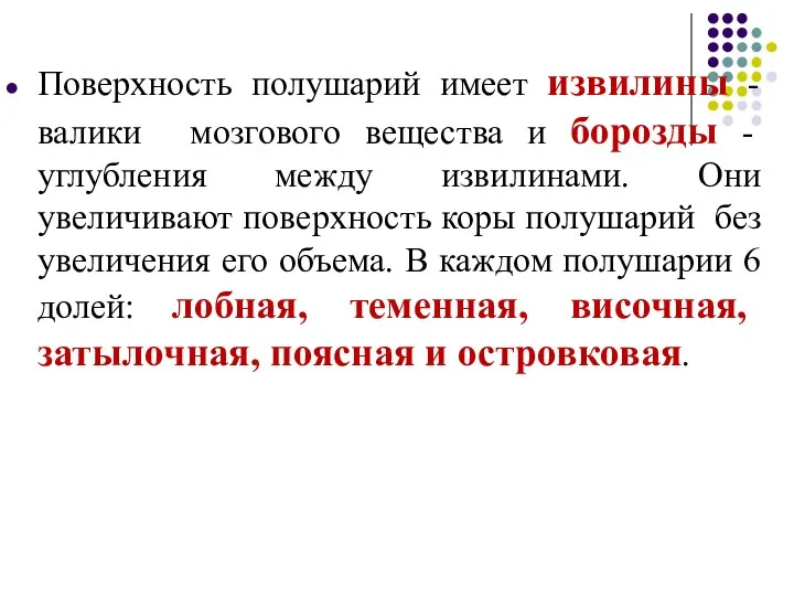 Поверхность полушарий имеет извилины - валики мозгового вещества и борозды