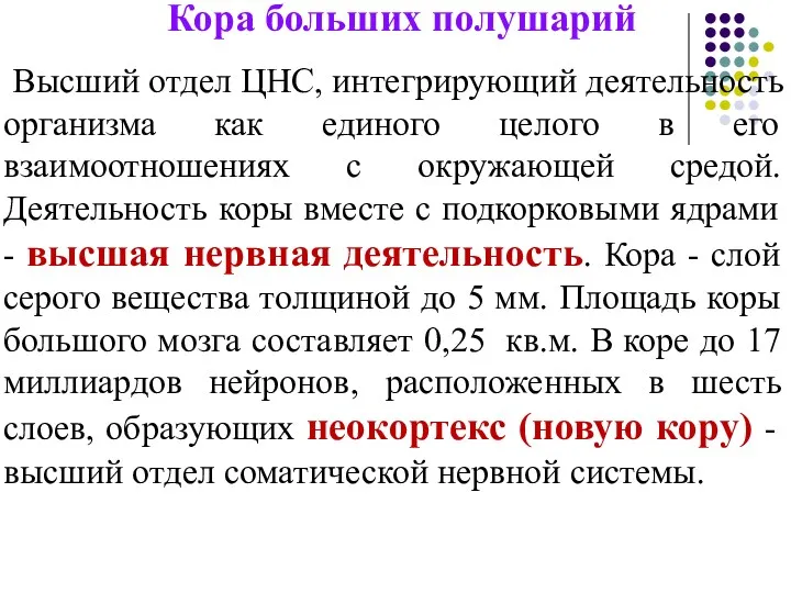 Кора больших полушарий Высший отдел ЦНС, интегрирующий деятельность организма как