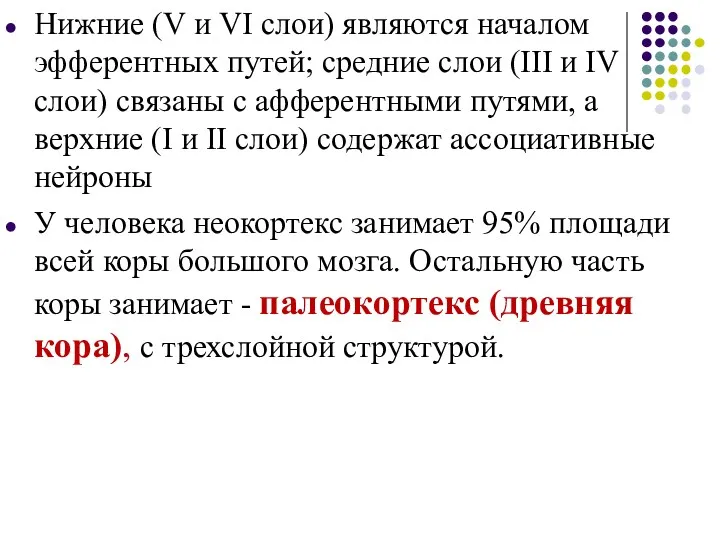 Нижние (V и VI слои) являются началом эфферентных путей; средние