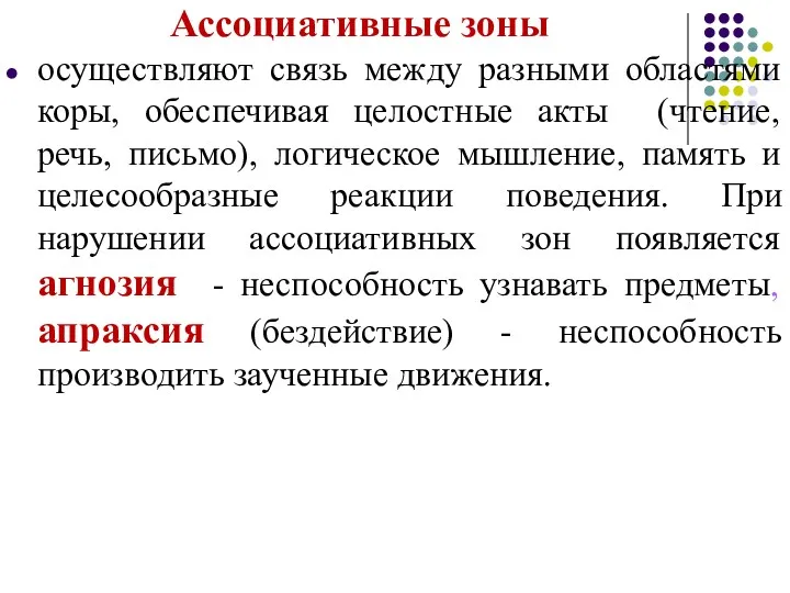 Ассоциативные зоны осуществляют связь между разными областями коры, обеспечивая целостные