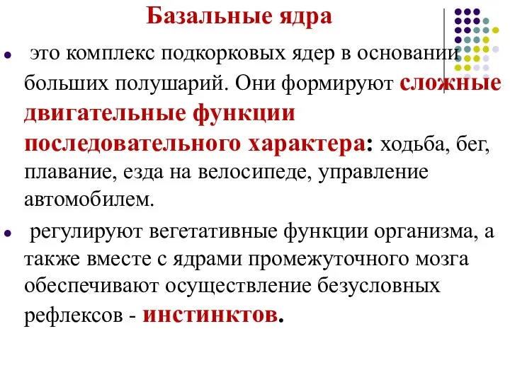 Базальные ядра это комплекс подкорковых ядер в основании больших полушарий.