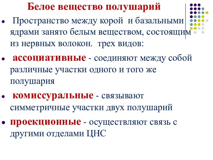 Белое вещество полушарий Пространство между корой и базальными ядрами занято