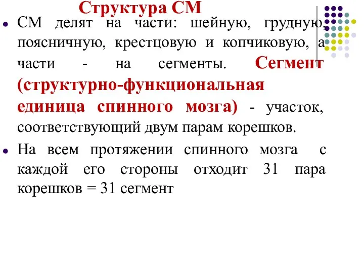 Структура СМ СМ делят на части: шейную, грудную, поясничную, крестцовую