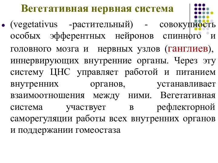 Вегетативная нервная система (vegetativus -растительный) - совокупность особых эфферентных нейронов