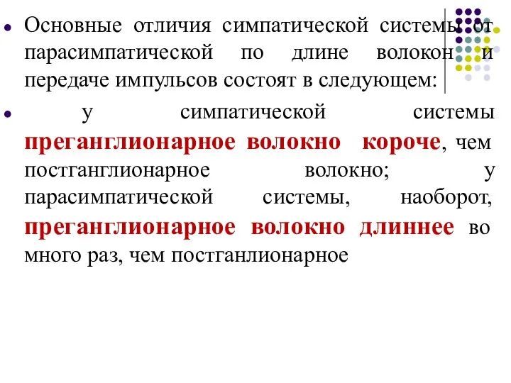 Основные отличия симпатической системы от парасимпатической по длине волокон и