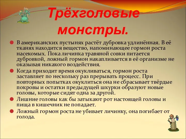 Трёхголовые монстры. В американских пустынях растёт дубровка удлинённая. В её