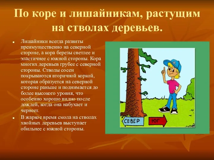 По коре и лишайникам, растущим на стволах деревьев. Лишайники всегда развиты преимущественно на