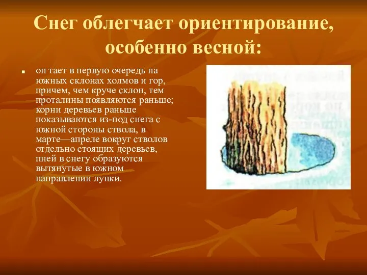 Снег облегчает ориентирование, особенно весной: он тает в первую очередь