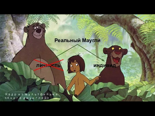 Кадр из мультфильма «Книга джунглей» Реальный Маугли личность индивид