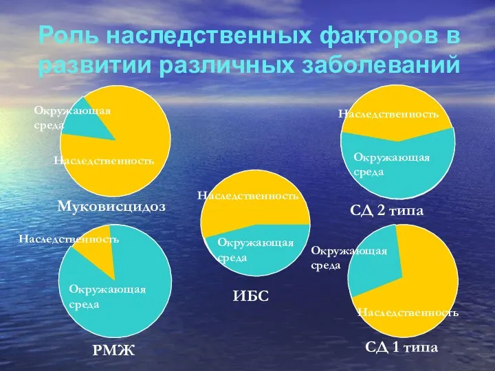 Роль наследственных факторов в развитии различных заболеваний Муковисцидоз РМЖ СД 2 типа Окружающая