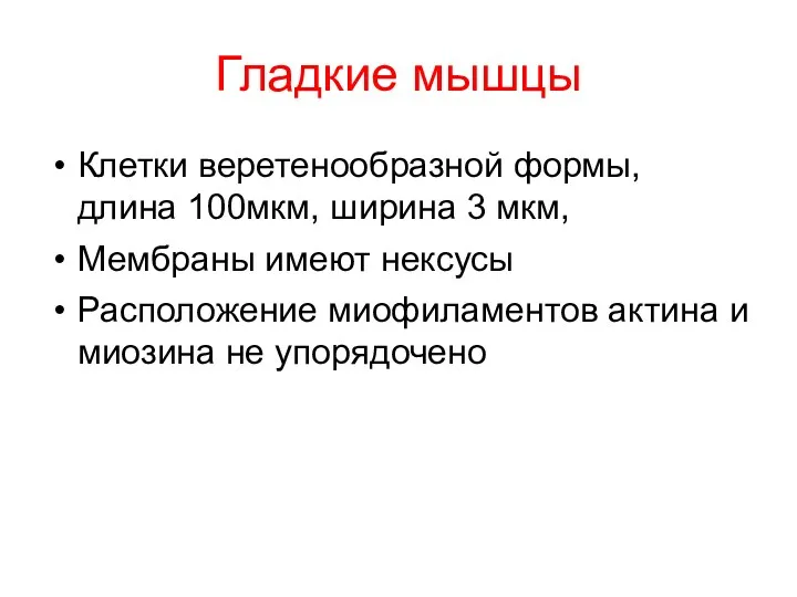 Гладкие мышцы Клетки веретенообразной формы, длина 100мкм, ширина 3 мкм,