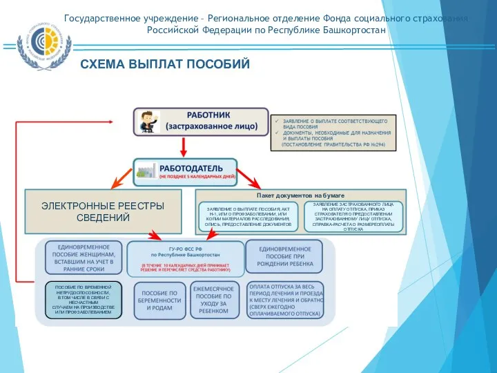 СХЕМА ВЫПЛАТ ПОСОБИЙ ЭЛЕКТРОННЫЕ РЕЕСТРЫ СВЕДЕНИЙ ПОСОБИЕ ПО ВРЕМЕННОЙ НЕТРУДОСПОСОБНОСТИ,