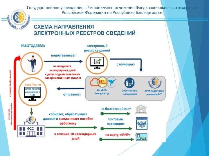 СХЕМА НАПРАВЛЕНИЯ ЭЛЕКТРОННЫХ РЕЕСТРОВ СВЕДЕНИЙ ФСС