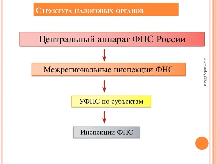 Структура налоговых органов Центральный аппарат ФНС России Межрегиональные инспекции ФНС УФНС по субъектам Инспекции ФНС www.nalogi35.ru