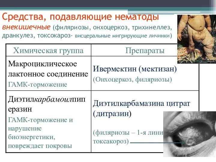 Средства, подавляющие нематоды внекишечные (филяриозы, онхоцеркоз, трихинеллез, дранкулез, токсокароз- висцеральные мигрирующие личинки)