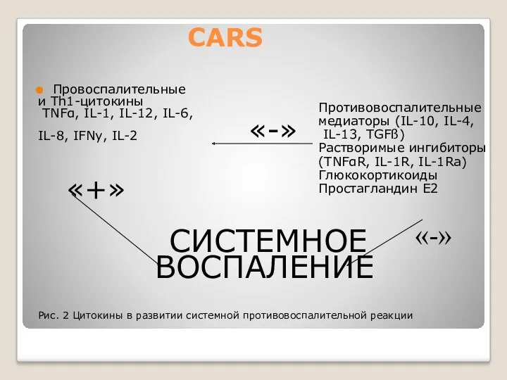 CARS Провоспалительные и Th1-цитокины TNFα, IL-1, IL-12, IL-6, IL-8, IFNy, IL-2 «-» «+»