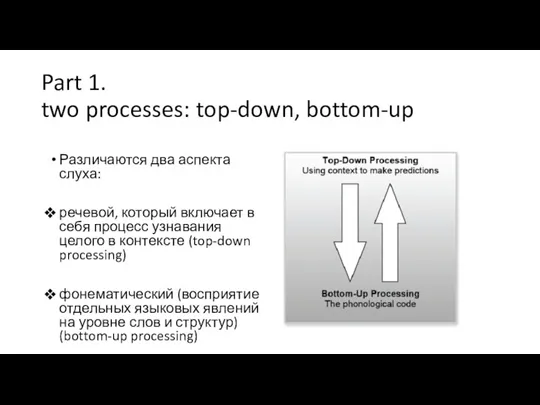 Part 1. two processes: top-down, bottom-up Различаются два аспекта слуха: речевой, который включает